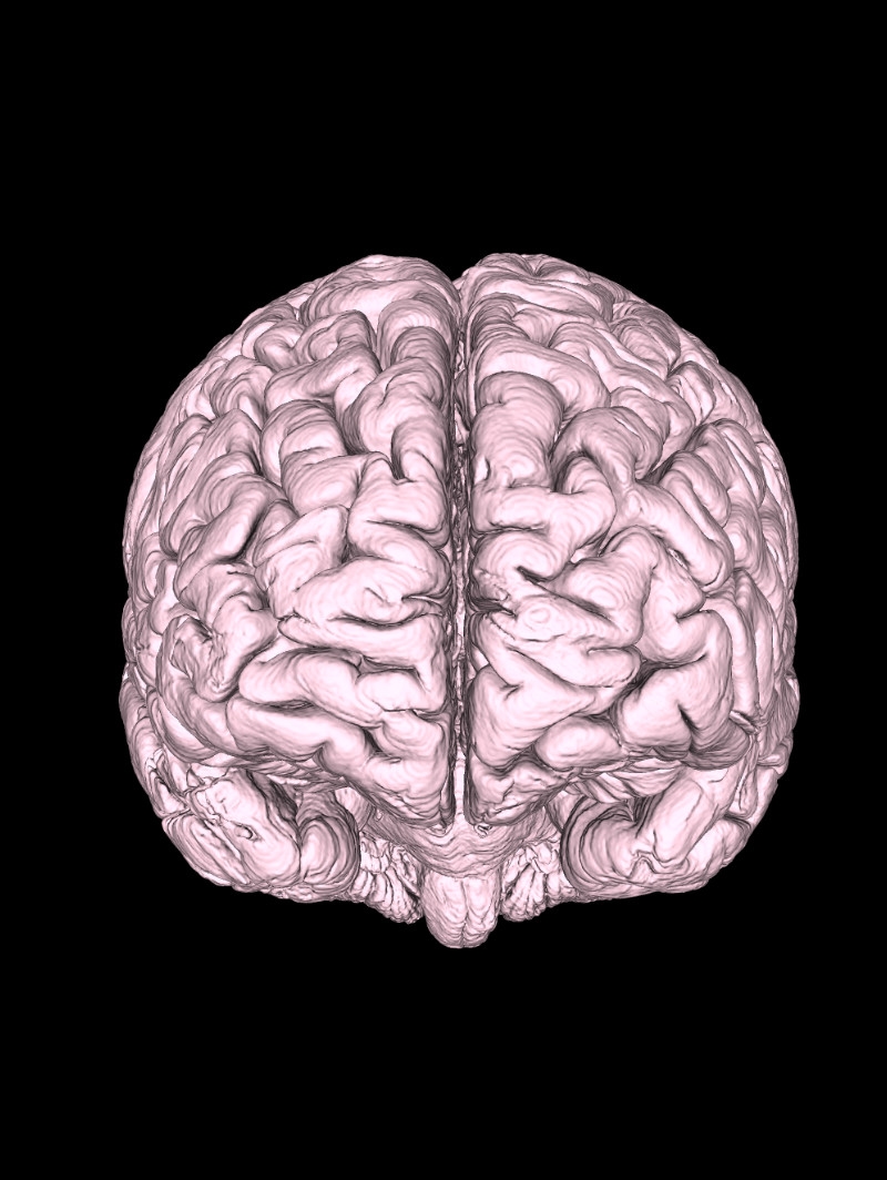 Vista: 3D Geometry View