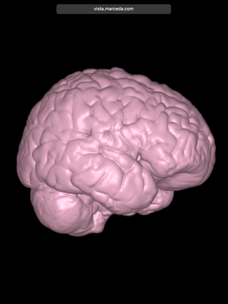 Vista: 3D Geometry View